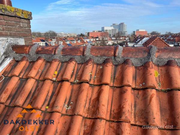 Pannendak met nokvorst en schoorsteen, dakrenovatie in Olst