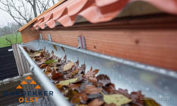 Dakgoot vol bladeren die gereinigd moet worden in Olst