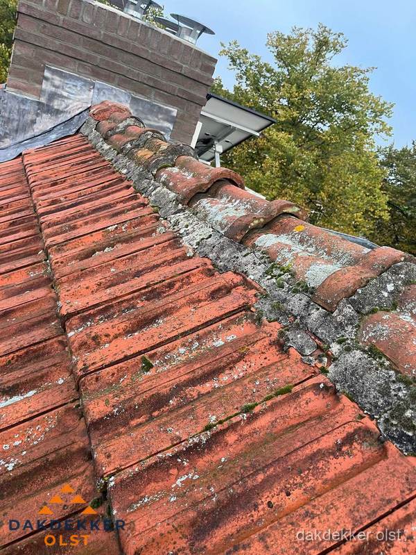 Verweerd hellend dak met mosgroei op nokvorst in Olst Verweerd hellend dak met mosgroei op nokvorst in Olst