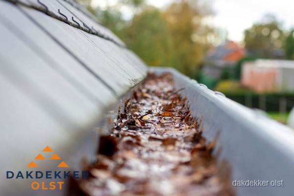 Verstopte dakgoot met bladeren schoonmaken in Olst Verstopte dakgoot met bladeren schoonmaken in Olst