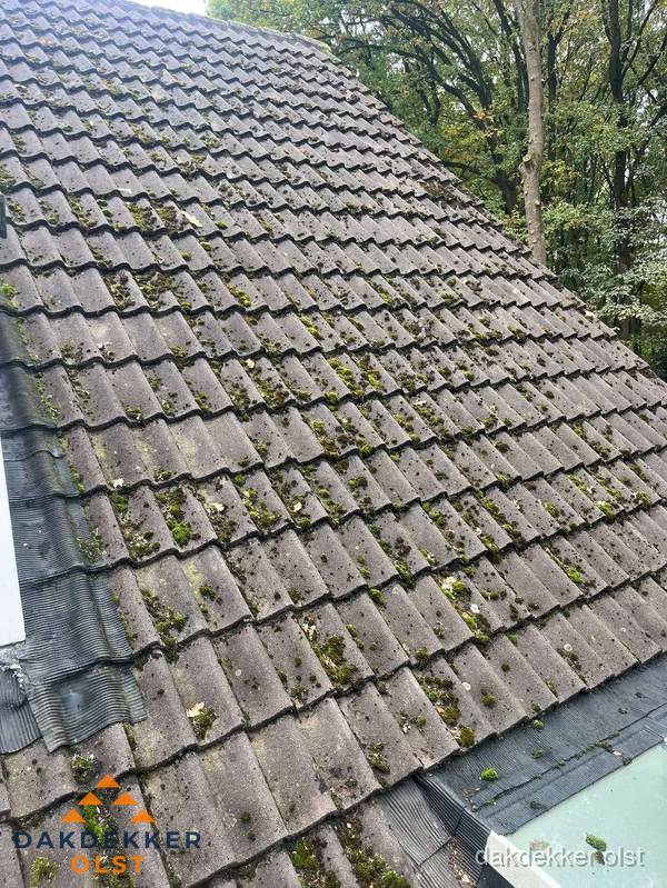 Verweerd pannendak met mosgroei dat renovatie nodig heeft in Olst Verweerd pannendak met mosgroei dat renovatie nodig heeft in Olst